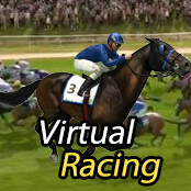Virtual Racing_thumbNail